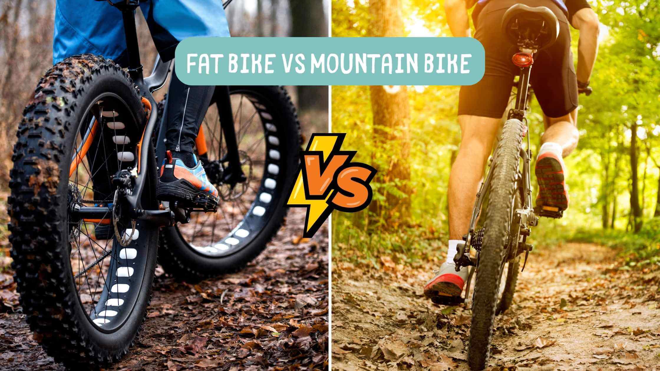 Fat Bike vs Mountain Bike