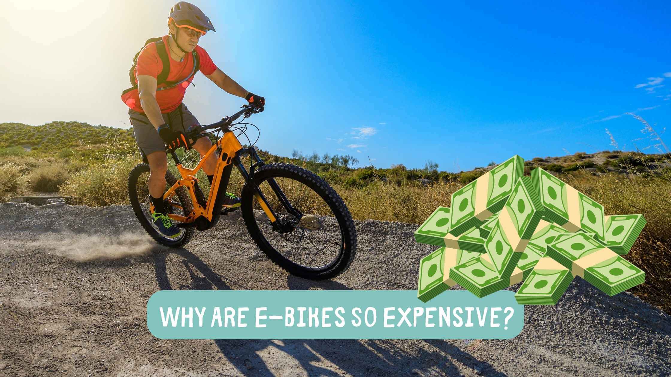 Why Are E-Bikes So Expensive