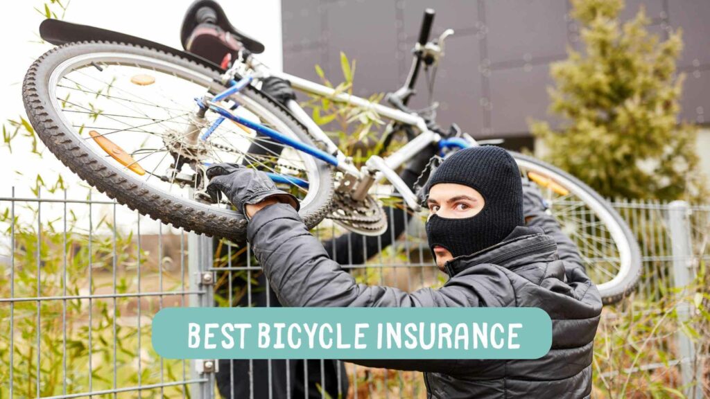 Photo of two men with ski-masks stealing a bicycle over a fence. Best Bicycle Insurance.