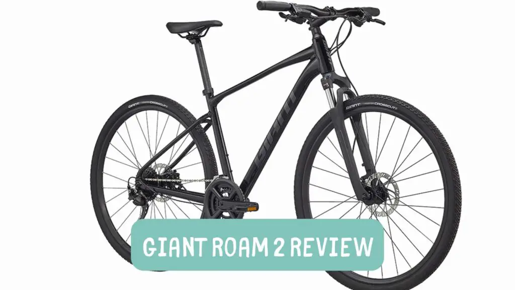 Photo of a black Giant Roam 2 on a white background.