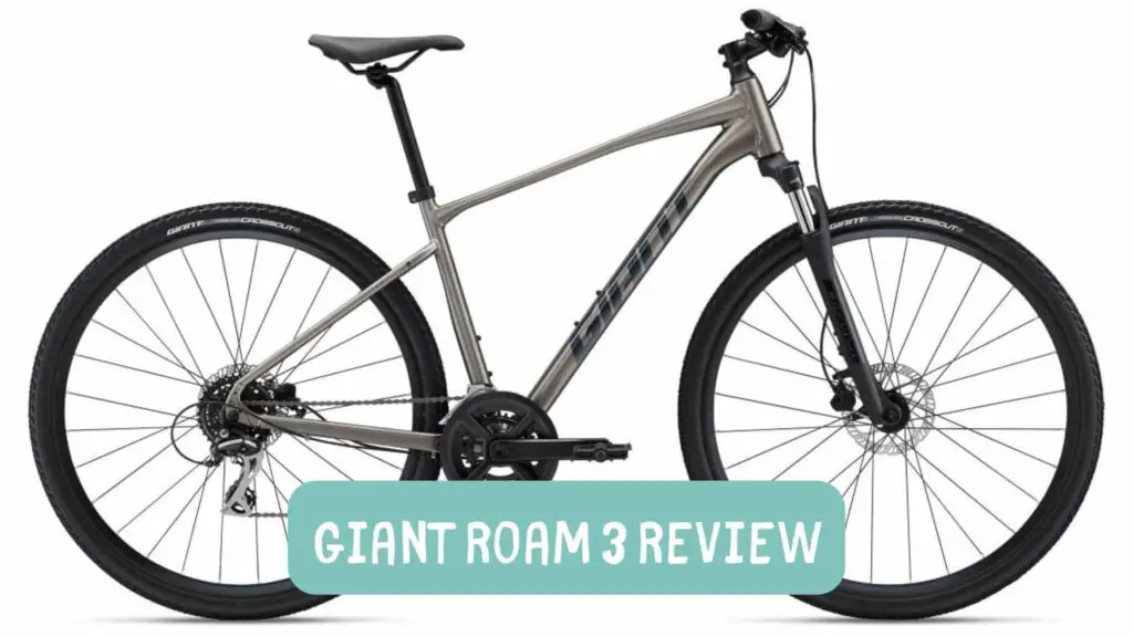 Photo of a silver Giant Roam 3 on a white background.