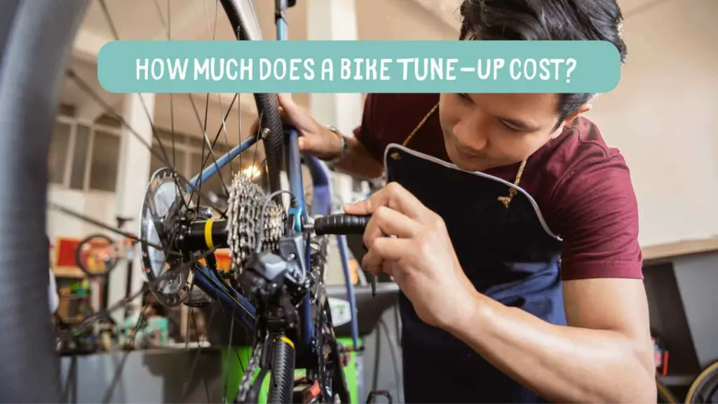 Photo of a mechanic tuning up a bicycle. How Much Does a Bike Tune-Up Cost?