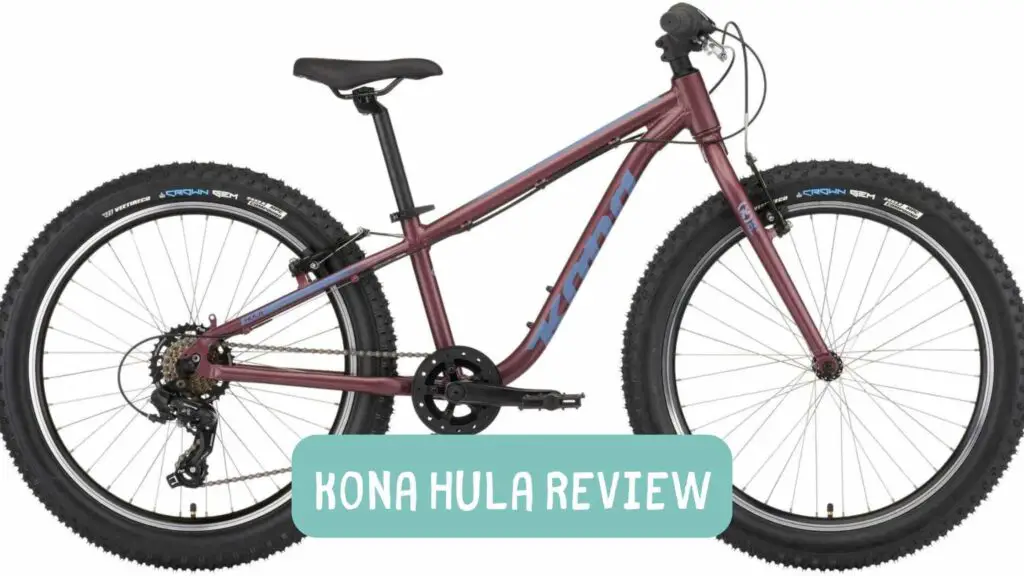 Photo of a Kona Hula in a maple color and on a white background.